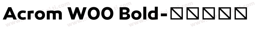 Acrom W00 Bold字体转换